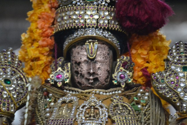 Kanchipuram Varadharaja Perumal Kovil vaikasi Brahmotsavam Thotti Thirumanjanam  2014 -15