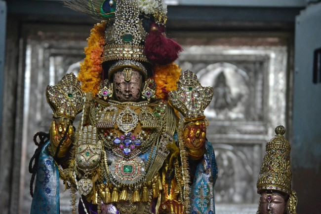 Kanchipuram Varadharaja Perumal Kovil vaikasi Brahmotsavam Thotti Thirumanjanam  2014 -17