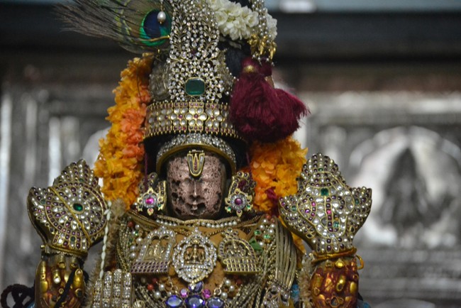 Kanchipuram Varadharaja Perumal Kovil vaikasi Brahmotsavam Thotti Thirumanjanam  2014 -18