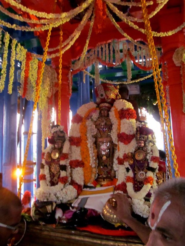Kanchipuram Varadharaja Perumal Temple Vaikasi Brahmotsavam Thiruther 2014 -02