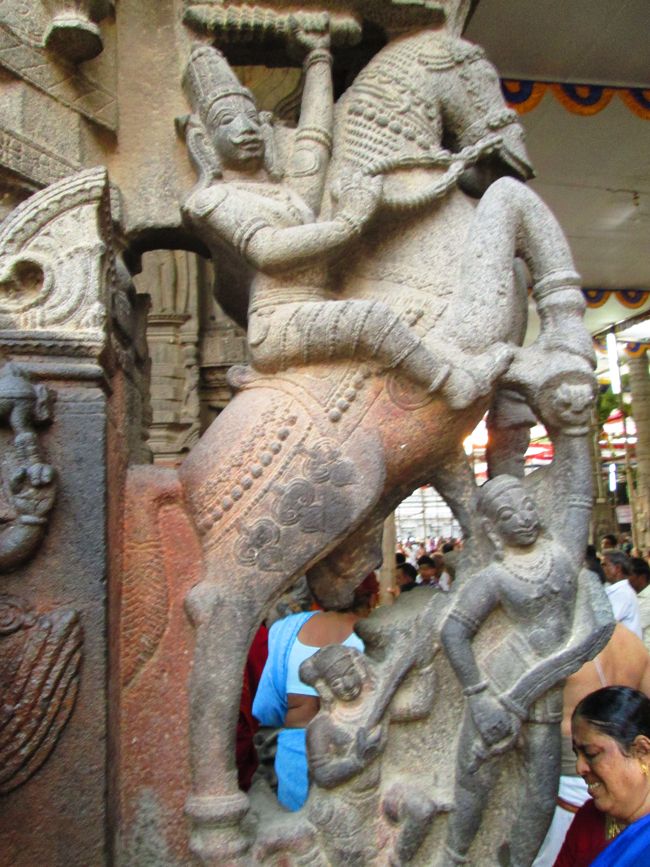 Kanchipuram vaikasi Brahmotsavam Kudhirai vahanaml 2014 -03