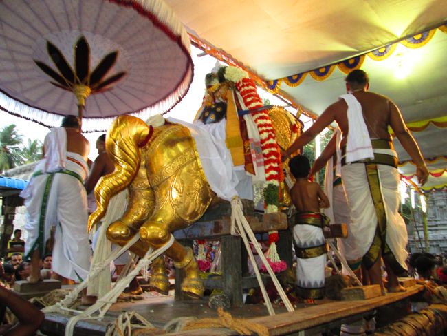 Kanchipuram vaikasi Brahmotsavam Kudhirai vahanaml 2014 -06