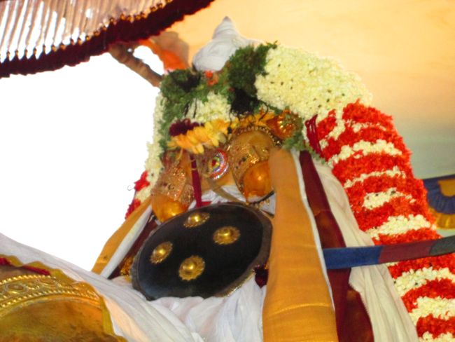 Kanchipuram vaikasi Brahmotsavam Kudhirai vahanaml 2014 -07