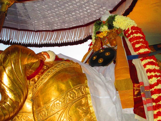 Kanchipuram vaikasi Brahmotsavam Kudhirai vahanaml 2014 -08
