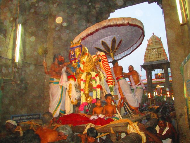 Kanchipuram vaikasi Brahmotsavam Kudhirai vahanaml 2014 -13