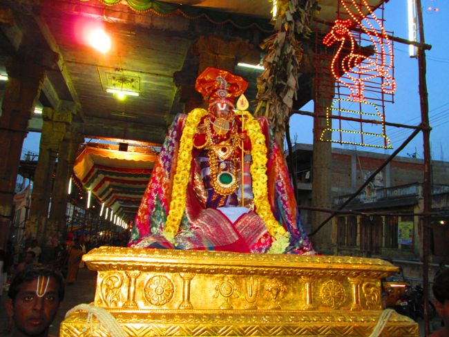 Kanchipuram vaikasi Brahmotsavam Kudhirai vahanaml 2014 -15