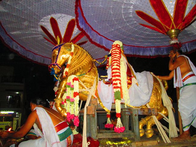 Kanchipuram vaikasi Brahmotsavam Kudhirai vahanaml 2014 -26