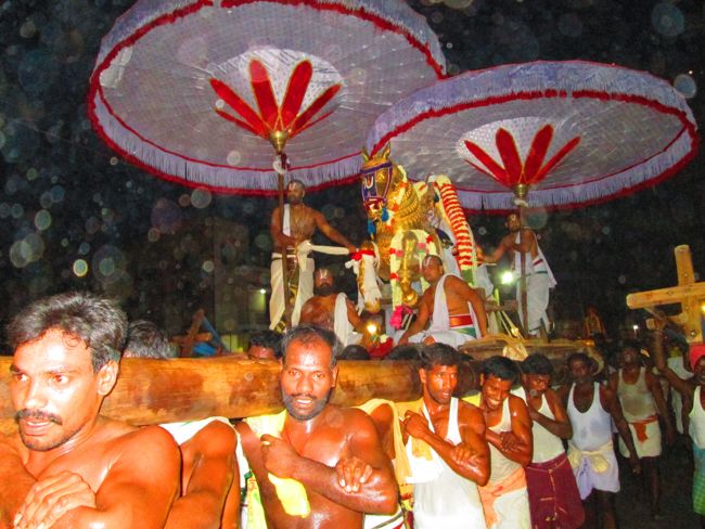 Kanchipuram vaikasi Brahmotsavam Kudhirai vahanaml 2014 -27