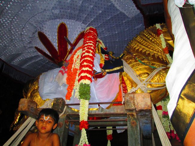 Kanchipuram vaikasi Brahmotsavam Kudhirai vahanaml 2014 -29