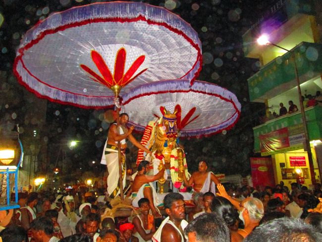 Kanchipuram vaikasi Brahmotsavam Kudhirai vahanaml 2014 -30