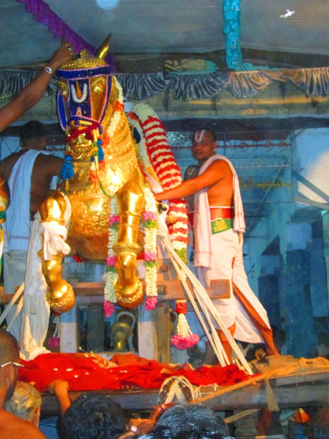 Kanchipuram vaikasi Brahmotsavam Kudhirai vahanaml 2014 -36