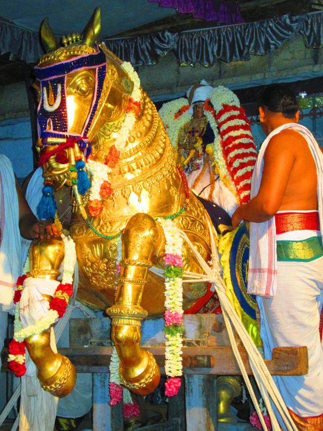 Kanchipuram vaikasi Brahmotsavam Kudhirai vahanaml 2014 -37