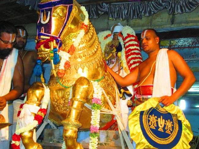 Kanchipuram vaikasi Brahmotsavam Kudhirai vahanaml 2014 -39