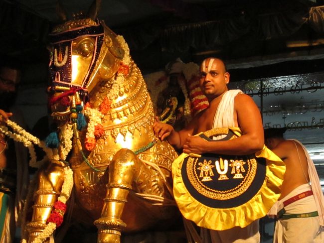 Kanchipuram vaikasi Brahmotsavam Kudhirai vahanaml 2014 -41
