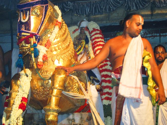 Kanchipuram vaikasi Brahmotsavam Kudhirai vahanaml 2014 -42