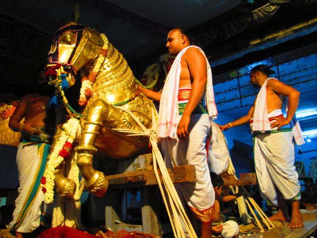 Kanchipuram vaikasi Brahmotsavam Kudhirai vahanaml 2014 -45
