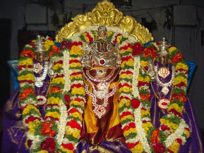 Krishnapura Santhana Gopala Krishna Swamy Temple Brahmotsvam 2014--08