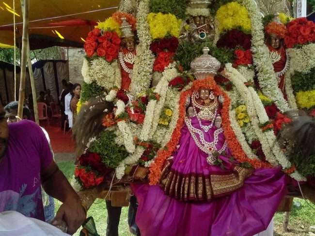 Krishnapura Santhana Gopala Krishna Swamy Temple Brahmotsvam 2014--18