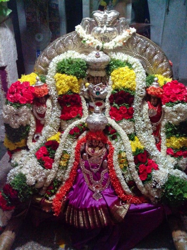 Krishnapura Santhana Gopala Krishna Swamy Temple Brahmotsvam 2014--22