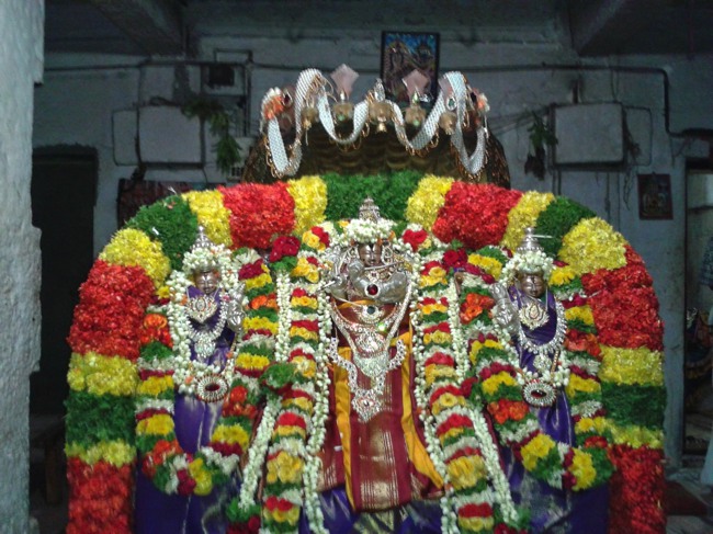Krishnapura Santhana Gopala Krishna Swamy Temple Brahmotsvam 2014--28