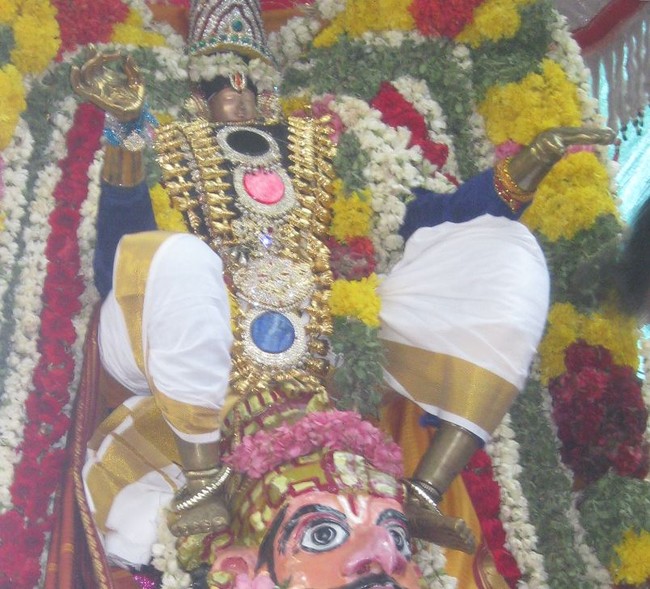 Kumbakonam Akshaya Thiruthiyai Garuda Sevai   2014 -04