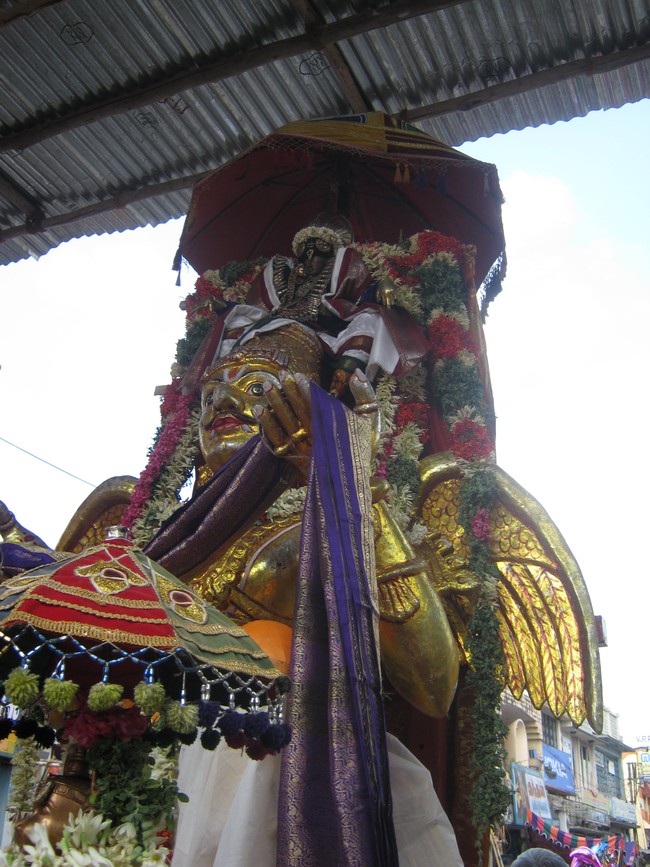 Kumbakonam Akshaya Thiruthiyai Garuda Sevai   2014 -16