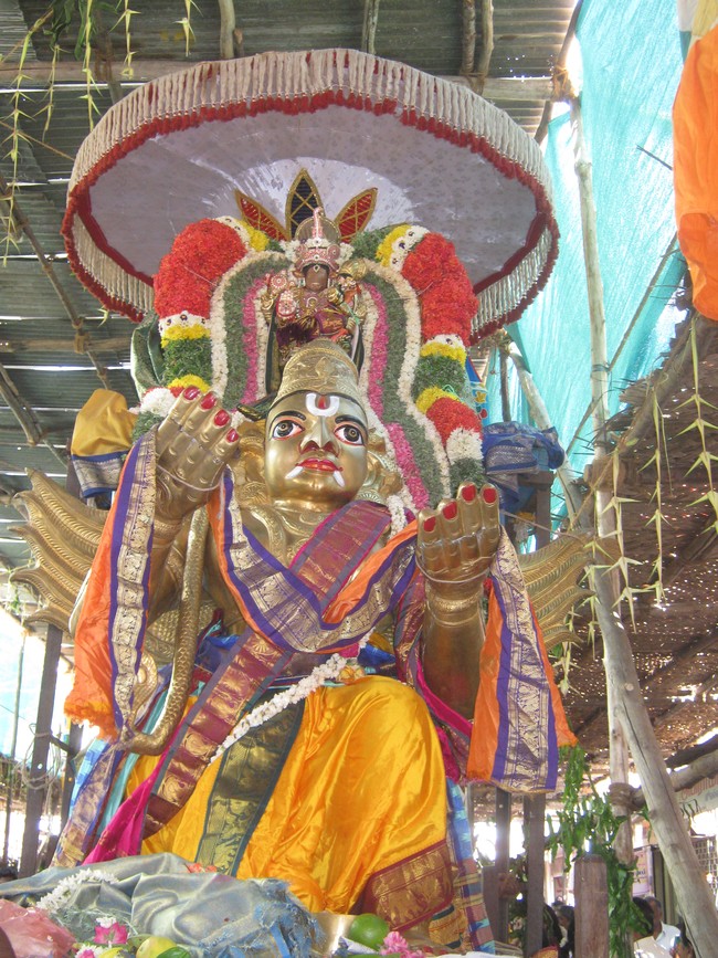 Kumbakonam Akshaya Thiruthiyai Garuda Sevai   2014 -25
