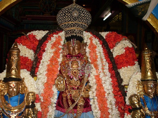 MGR Nagar Prasanna Venkatesa Perumal Avathara utsavam day 4  2014 -8