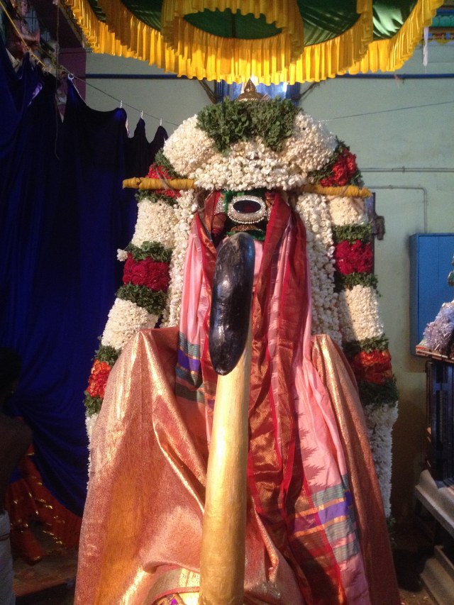 MGR Nagar Prasanna Venkatesa Perumal Avathara utsavam day 5 evening  2014 -4