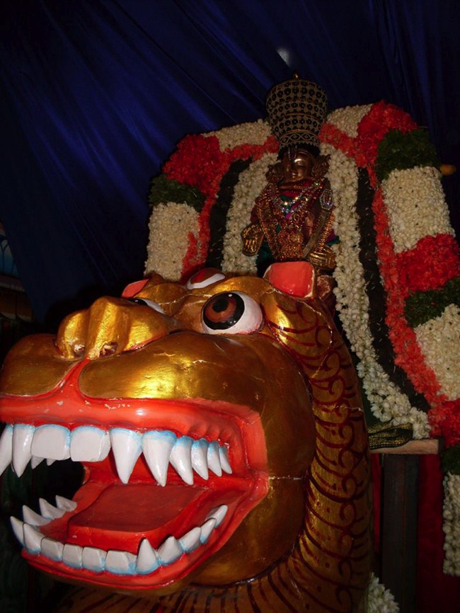 MGR nagar Jaya Varusha Avatara utsavam day 1 Simha Vahanam 2014--01