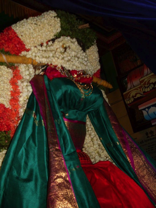 MGR nagar Jaya Varusha Avatara utsavam day 1 Simha Vahanam 2014--03