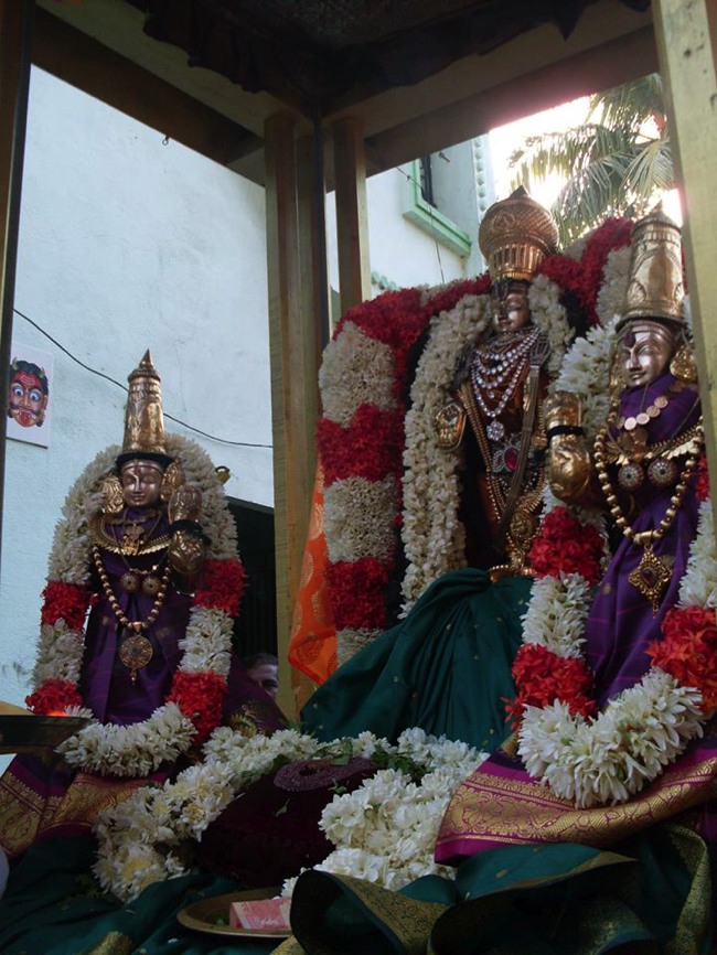 MGR nagar Jaya Varusha Avatara utsavam day 1 chapparam 2014--04