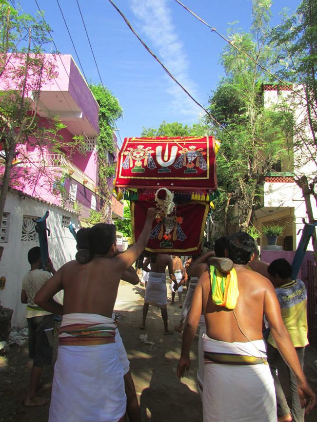 MGR nagar Venkatesa pErumal Avathara Utsavam day 9  2014--0009