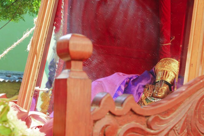 MGR nagar Venkatesa pErumal Avathara Utsavam day 9  2014--0011