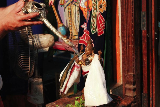 MGR nagar Venkatesa pErumal Avathara Utsavam day 9 Theerthavari 2014--0006