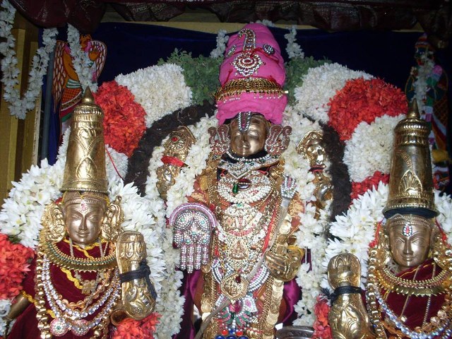 MGr nagar Prasanna Venkatesa Perumal Avatara utsavam Thiruther 2014 -04