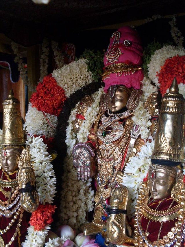 MGr nagar Prasanna Venkatesa Perumal Avatara utsavam Thiruther 2014 -05