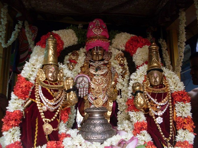 MGr nagar Prasanna Venkatesa Perumal Avatara utsavam Thiruther 2014 -06