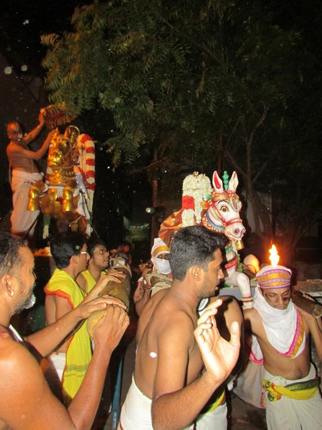 MGr nagar Prasanna Venkatesa Perumal Avatara utsavam Vedupari  2014 -11