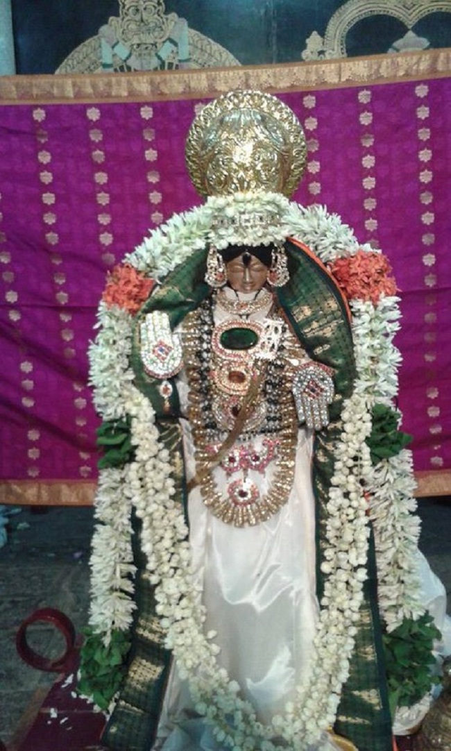 Mambalam Sri Kothandaramaswamy temple brahmaotsavam 5