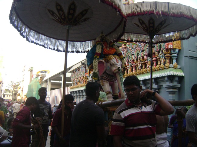 Mylai Adhikesava Perumal Temple Ramanujar  Avatara Utsavam Day 8 2014--00