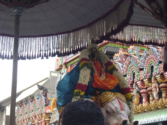 Mylai Adhikesava Perumal Temple Ramanujar  Avatara Utsavam Day 8 2014--01