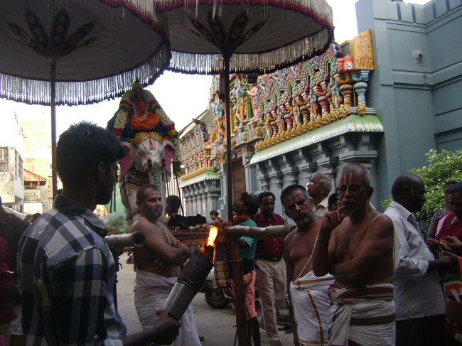 Mylai Adhikesava Perumal Temple Ramanujar  Avatara Utsavam Day 8 2014--05
