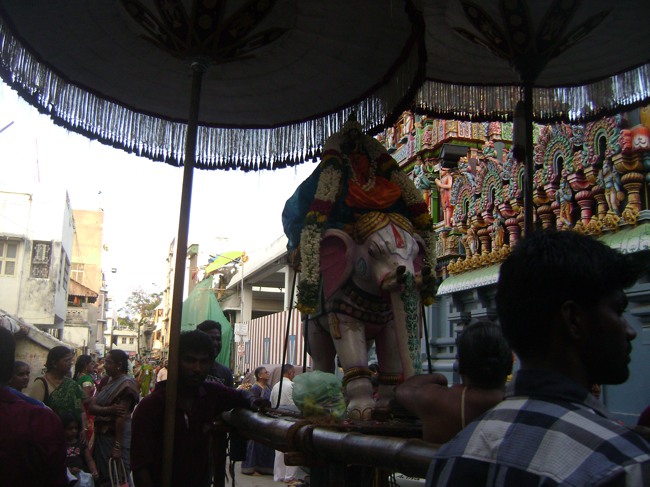 Mylai Adhikesava Perumal Temple Ramanujar  Avatara Utsavam Day 8 2014--06