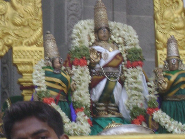 Mylai Adhikesava Perumal Vaikasi Ammavasai Purappadu- 04
