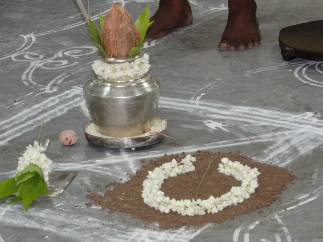 Mylapore SVDD Srinivasa Perumal  May 30,2014 Vaigasi Maasam Angurarpanam and Vishwak Senar purappadu 10