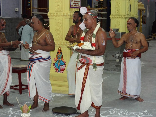 Mylapore SVDD Srinivasa Perumal  May 30,2014 Vaigasi Maasam Angurarpanam and Vishwak Senar purappadu 11
