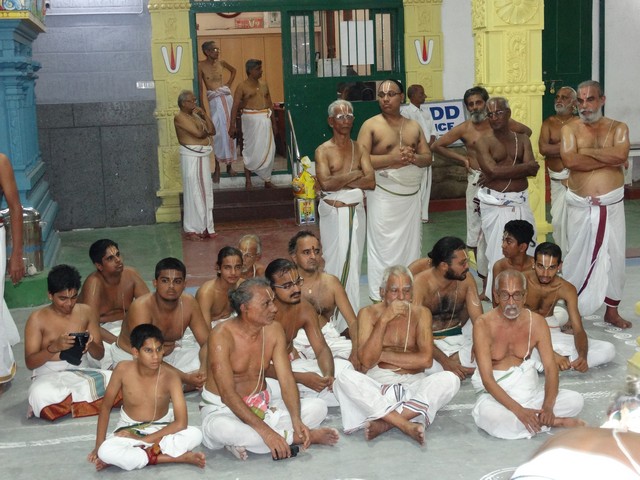 Mylapore SVDD Srinivasa Perumal  May 30,2014 Vaigasi Maasam Angurarpanam and Vishwak Senar purappadu 13