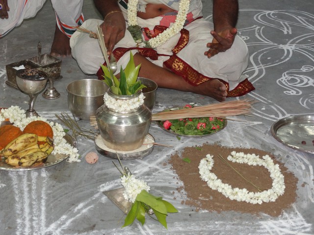 Mylapore SVDD Srinivasa Perumal  May 30,2014 Vaigasi Maasam Angurarpanam and Vishwak Senar purappadu 17