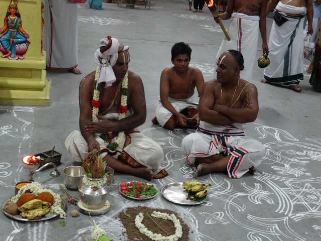Mylapore SVDD Srinivasa Perumal  May 30,2014 Vaigasi Maasam Angurarpanam and Vishwak Senar purappadu 18